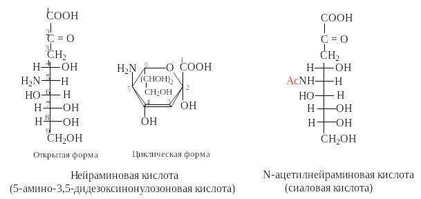 I.9. Производные моносахаридов