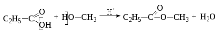 При щелочном гидролизе метилпропионата образуются