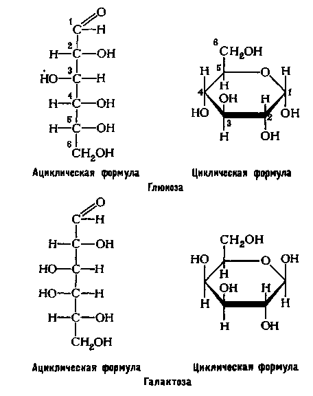 Формула кругового. Лактоза формула линейная. Лактоза циклическая формула. Сахароза структурная формула циклическая. Лактоза формула Фишера.