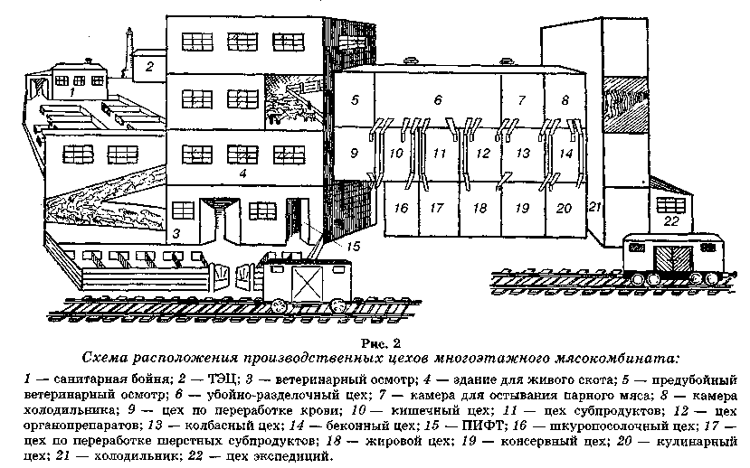 Схема структуры предприятия схема расположения цехов