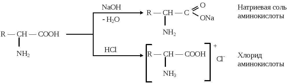 Глицин реагирует с гидроксидом натрия. Реакция солей аминокислот с кислотами. Аминокислота и соляная кислота. Реакция аминокислоты с соляной кислотой. Соль аминокислоты и соляная кислота.