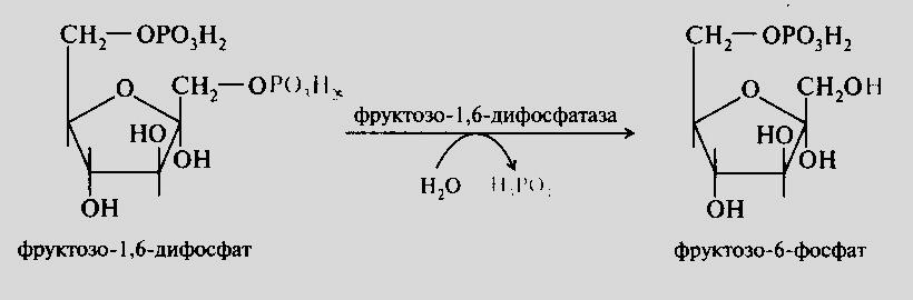 Фруктозо 6 дифосфат. Превращение фруктозо-6-фосфата во фруктозо-1.6-дифосфат. Превращение фруктозо-1.6-дифосфата во фруктозо-6-фосфат. Фруктозо-6-фосфат фруктозо-1.6-дифосфат. Фруктоза 1 6 дифосфат в фруктозо 6 фосфат.