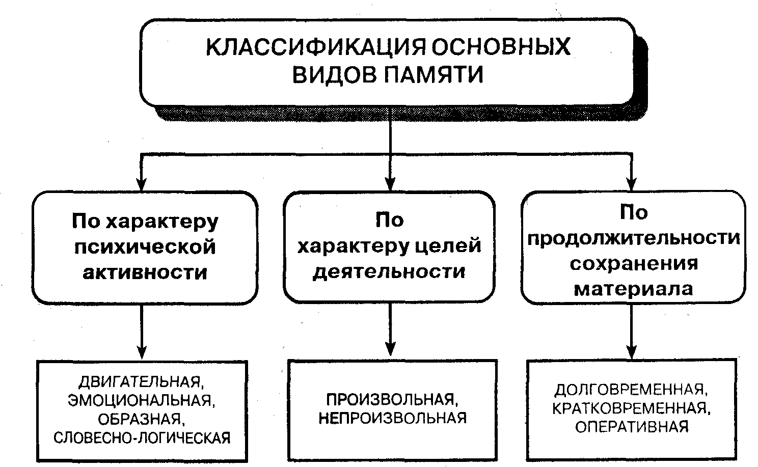 Виды памяти схема