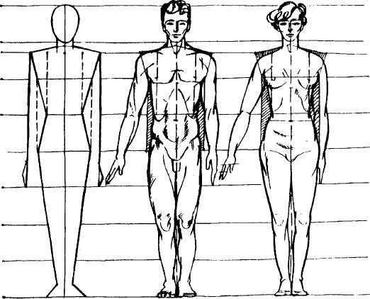 8 частей человека. Схема пропорций фигуры человека. Фигура человека схематичное изображение. Пропорции человеческого тела. Пропорции человеческой фигуры.