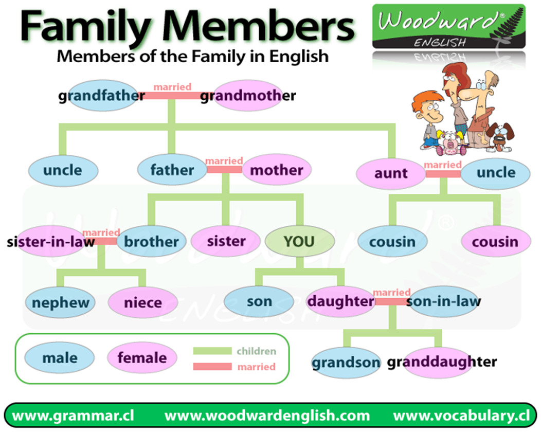 Вокабуляр семья английский. Семья на английском языке. A member of the Family.