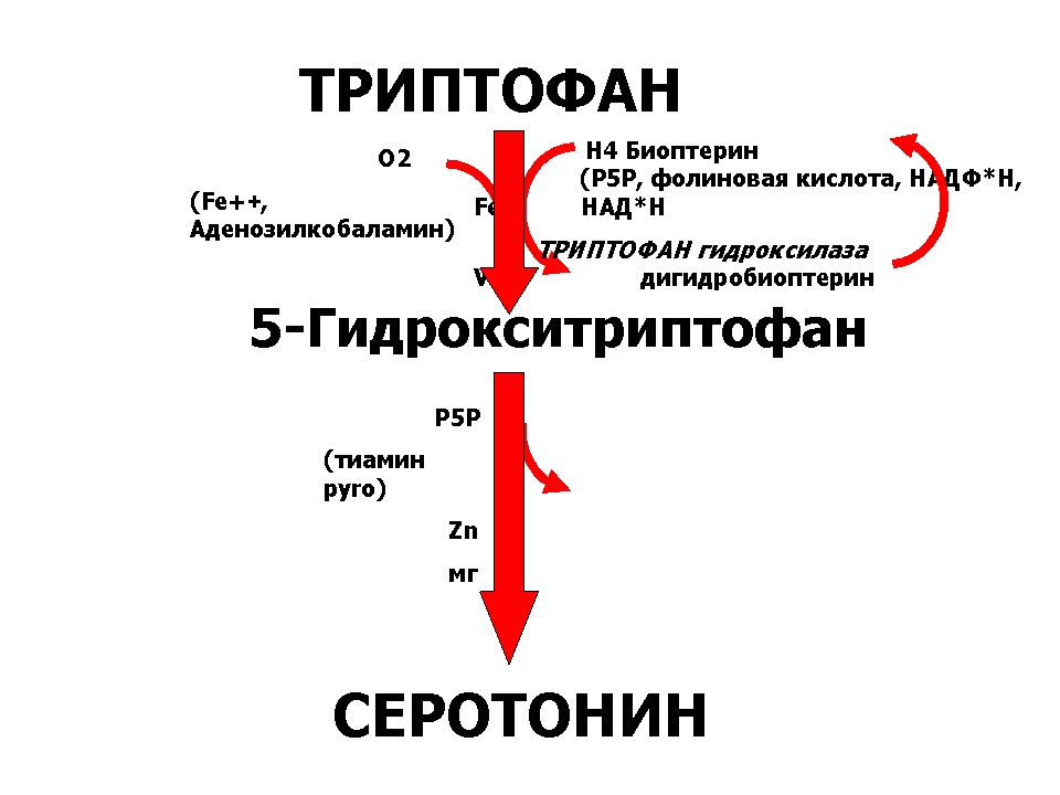 Медиаторы и антимедиаторы воспаления