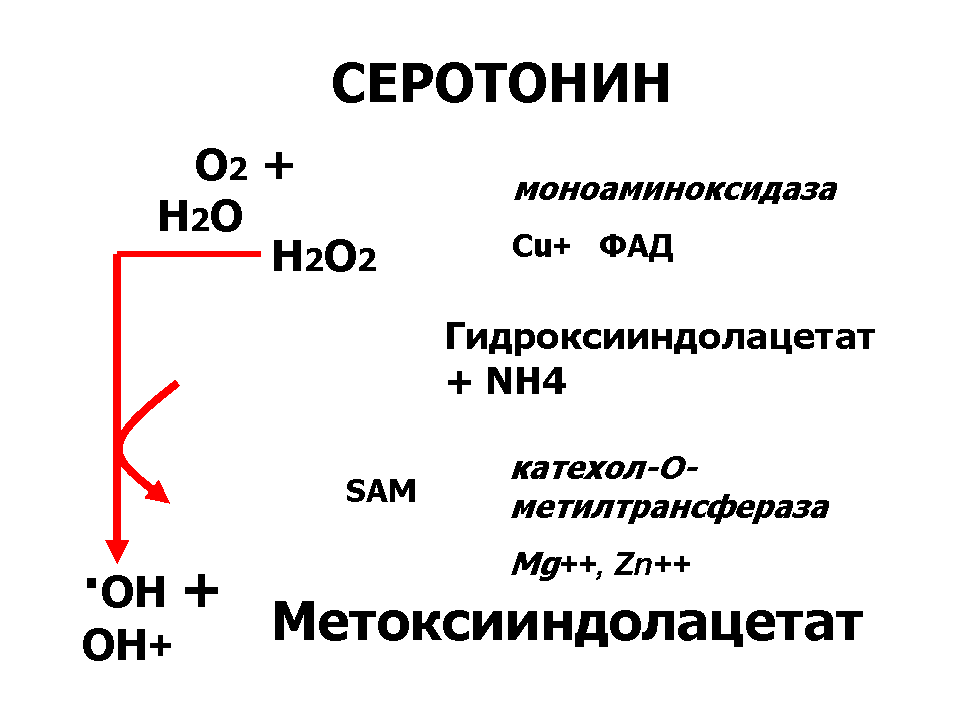 Медиаторы и антимедиаторы воспаления