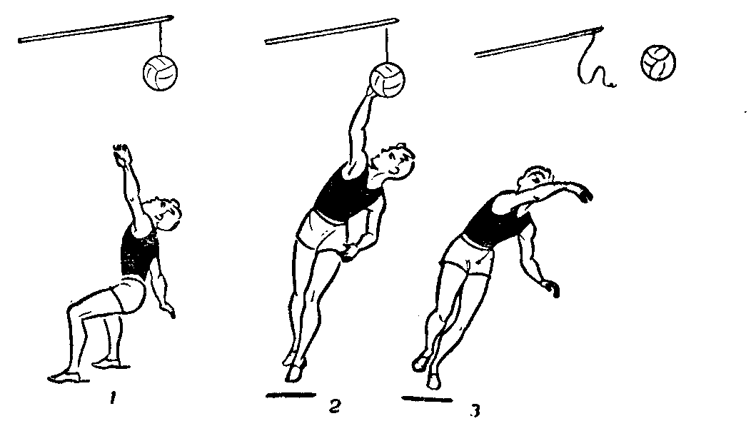 Упражнения для подачи в волейболе. Удар по подвешенному мячу в волейболе. Подводящие упражнения мяча снизу. Подводящие упражнения для нападающего удара в волейболе. Упражнения для отработки нападающего удара в волейболе.