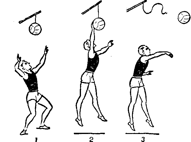 Упражнения для подачи в волейболе. Упражнения для верхней подачи мяча в волейболе. Упражнения для верхней подачи в волейболе. Подводящие упражнения в волейболе. Упражнения с волейбольным мячом.