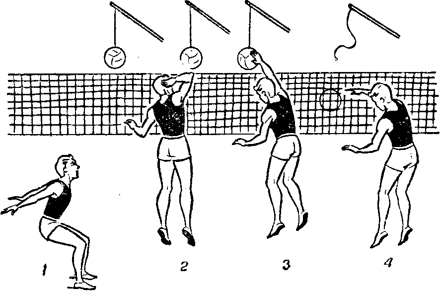 Волейбол упражнения с мячом. Упражнения для нападающего удара в волейболе. Комплекс упражнений для отработки нападающего удара в волейболе. Тренировка нападающего удара в волейболе. Нападающий удар в волейболе подводящие упражнения.