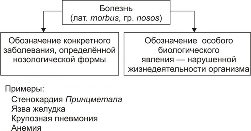 что такое нозологическая единица. Смотреть фото что такое нозологическая единица. Смотреть картинку что такое нозологическая единица. Картинка про что такое нозологическая единица. Фото что такое нозологическая единица
