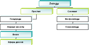 Organization Chart 4