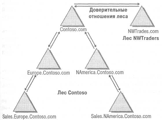 Доверительные отношения это какие. Доверительные отношения. Доверительные отношения фото. Доверительные отношение лесов. Active Directory домены и доверие.