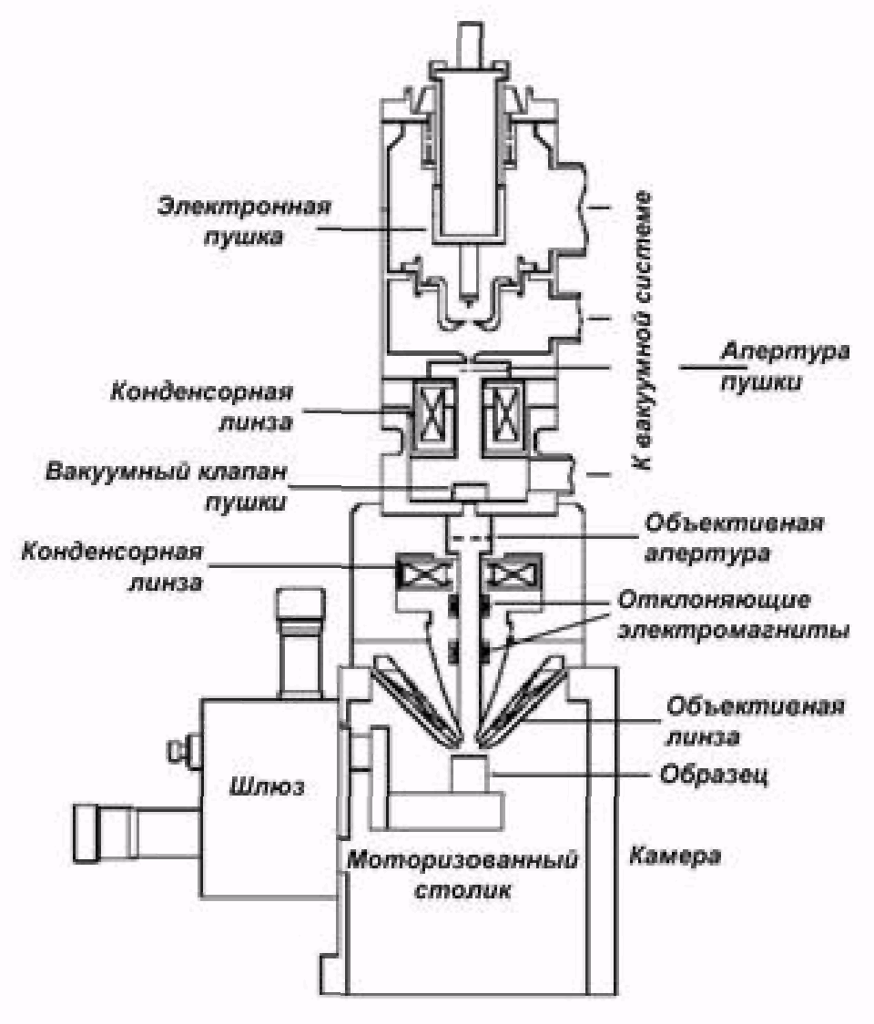 Схема электронного микроскопа