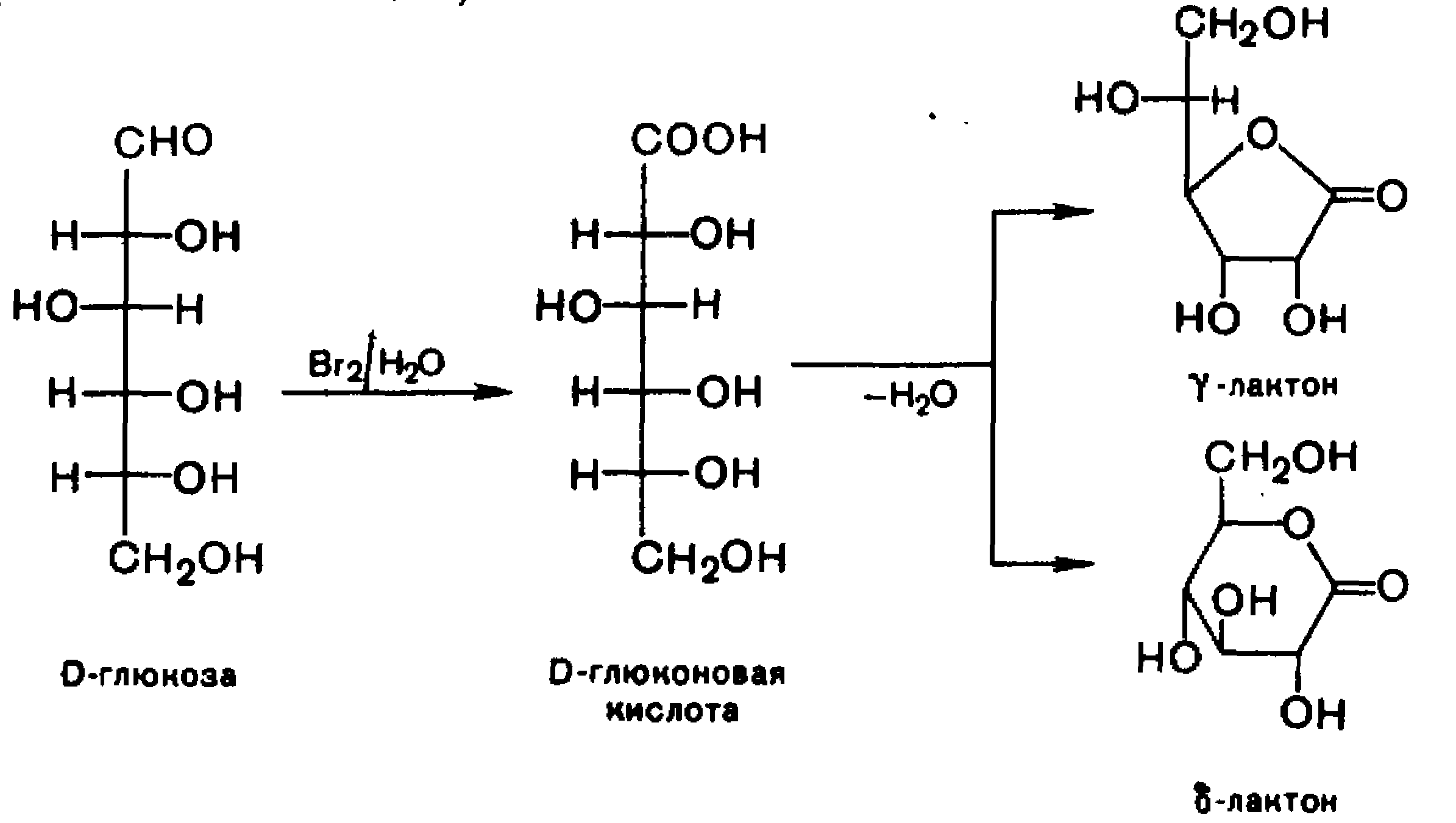 Реакция получения caco3. Получения d-галактоновой кислоты. Глюконовая кислота формула структурная циклическая.