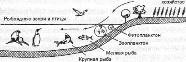 Небулярная теория Лапласа