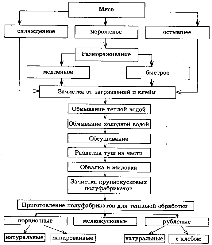 8. Технология производства мясных консервов