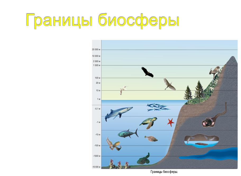 Рисунок границы биосферы 6 класс география