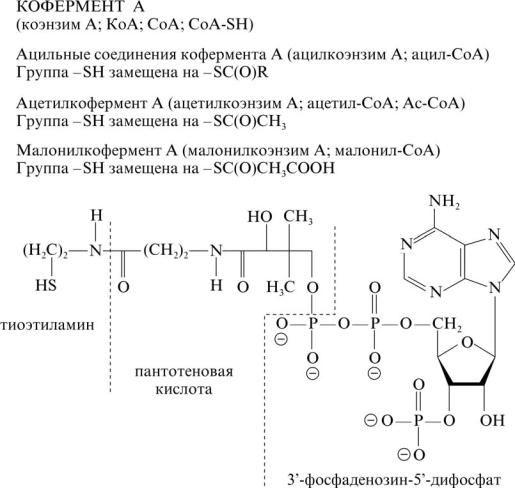 Синтез кофермента. Структура кофермента витамина а. КОА формула биохимия. Кофермент витамин функция кофермента. Кофермент а строение.