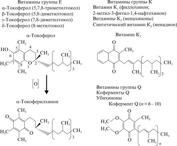 Витамин е схема. Коферментная функция витаминов биохимия. Коферментная функция витамина в1. Витамины в роли коферментов.