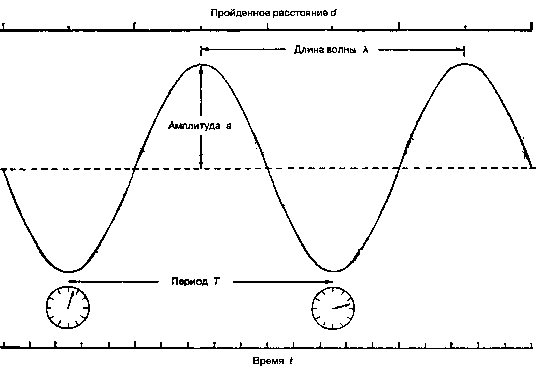 Расстояние через частоту. Частота период длина волны на графике. Длина волны рисунок. Частота волны на графике. Амплитуда и длина волны.