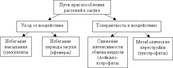 Роль калия в регуляции осмоса
