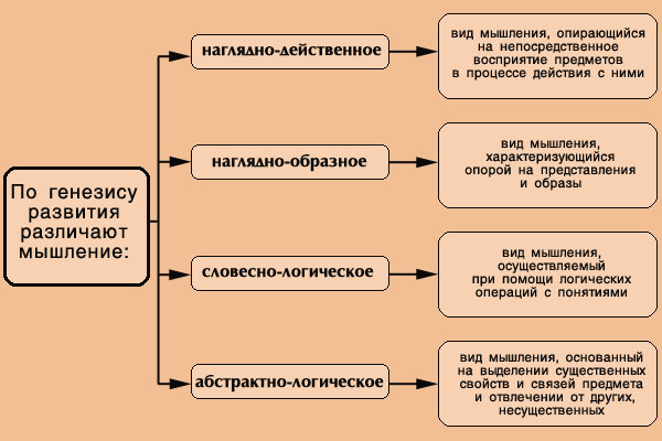 Виды мышления наглядно действенное образное абстрактно логическое 1.2. Виды мышления, мыслительные операции, качества ума