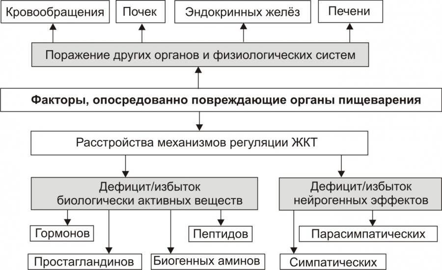 Факторы риска органов пищеварения. Этиология расстройств пищеварительной системы. Типовые формы патологии системы пищеварения патогенез. Общая этиология и патогенез расстройств пищеварительной системы. Этиологические факторы заболеваний органов пищеварения.