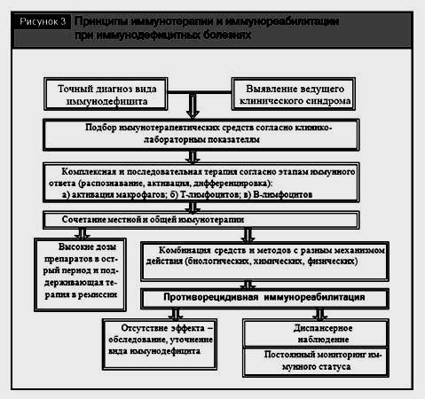 Иммунотерапия определение иммунотерапевтические стратегии на примере опухолей