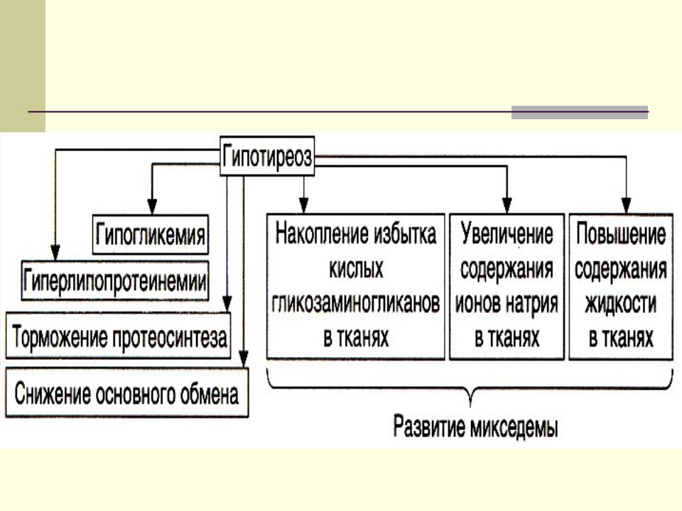 Патогенез гипотиреоза схема