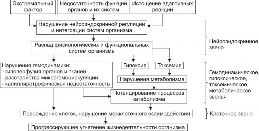 Схема патогенеза кардиогенного шока