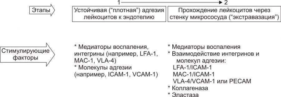 Воспаление. Экссудация. Экссудат и транссудат. Часть 5