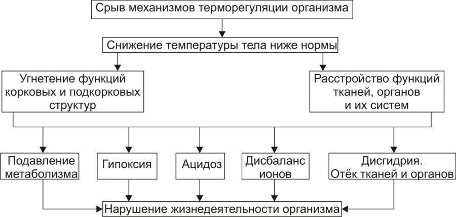 Схема нарушения гомеостаза при различных терминальных состояниях