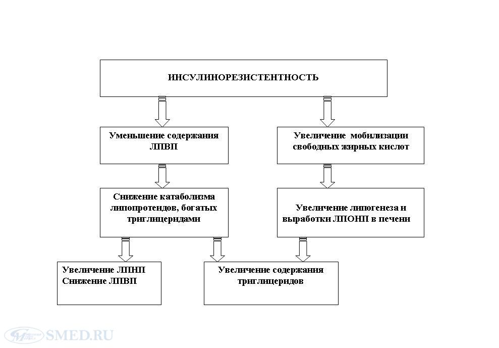 Схема при инсулинорезистентности корнилова