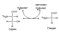 Функциональная биохимия нервной ткани