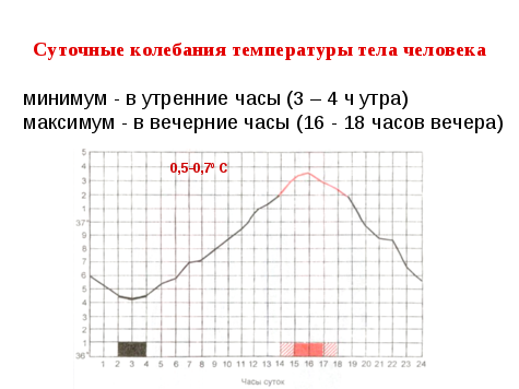 В какое время температура тела максимальна. Суточные колебания температуры тела. Суточная динамика температуры тела человека. Суточные ритмы колебания температуры тела человека. Суточный график температуры тела.