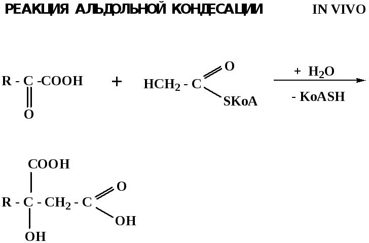 Механизмы реакции в химии