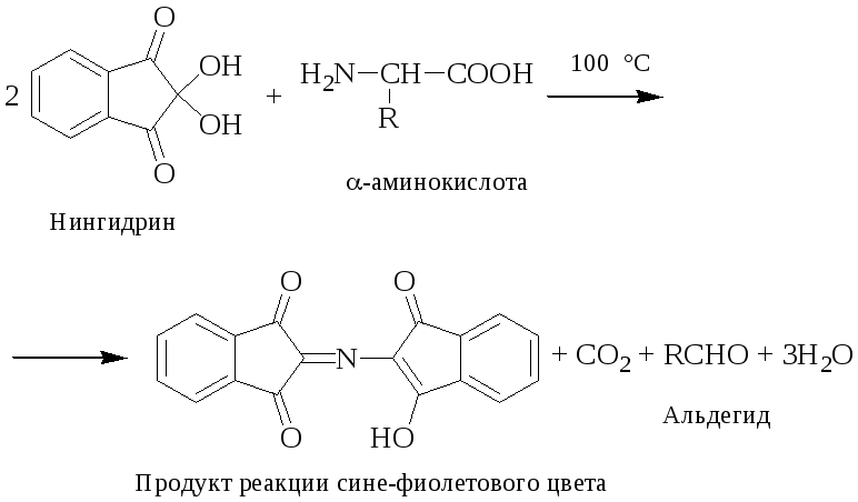 Энзимология и биологическое окисление