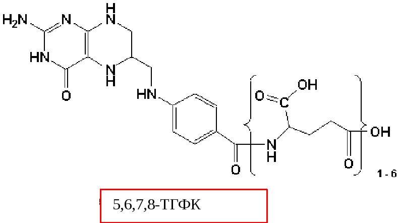 Фолиевая кислота и омега. Фолиевая кислота ТГФК. Витамин в9 формула. НАДФ витамин в5. ТГФК формула биохимия.