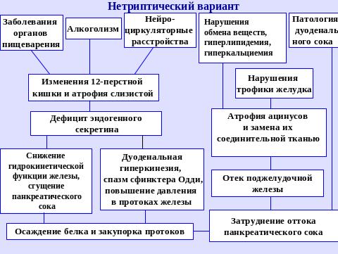 Патогенез хронического панкреатита
