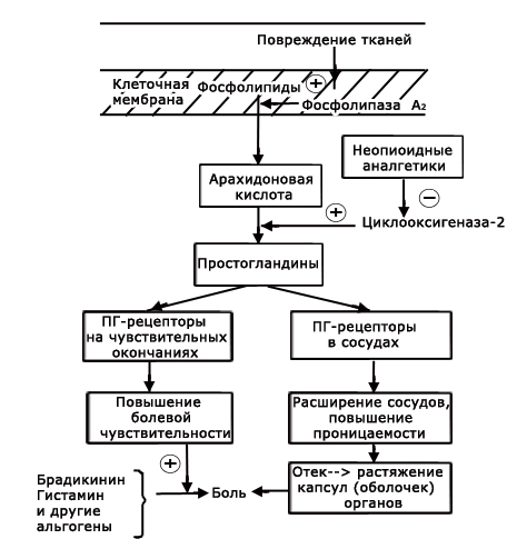 Памятка для пациентов с непереносимостью нестероидных противовоспалительных средств