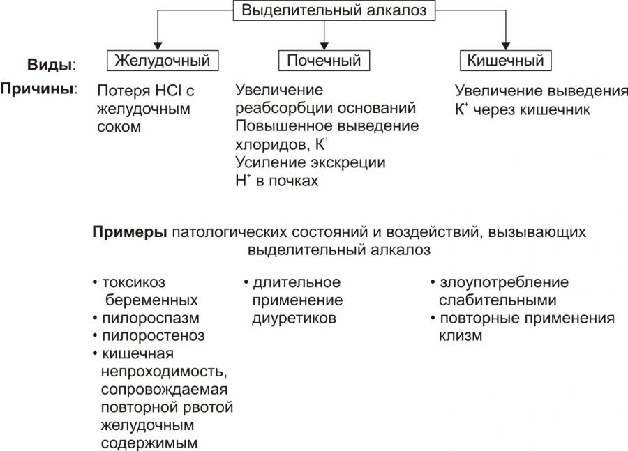 Развитие негазового ацидоза при почечной недостаточности схема