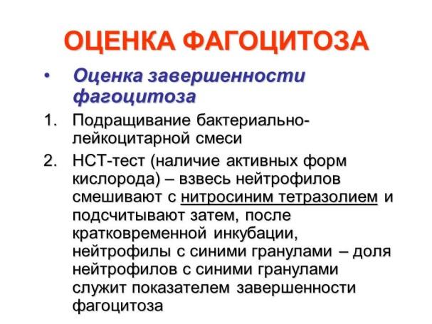 Причины доминирования. Механизмы защиты растений от патогенов. Нитросиним тетразолием (NBT. 1 Фактор господства. 2. Современной иммунологии крупнейшие достижения.