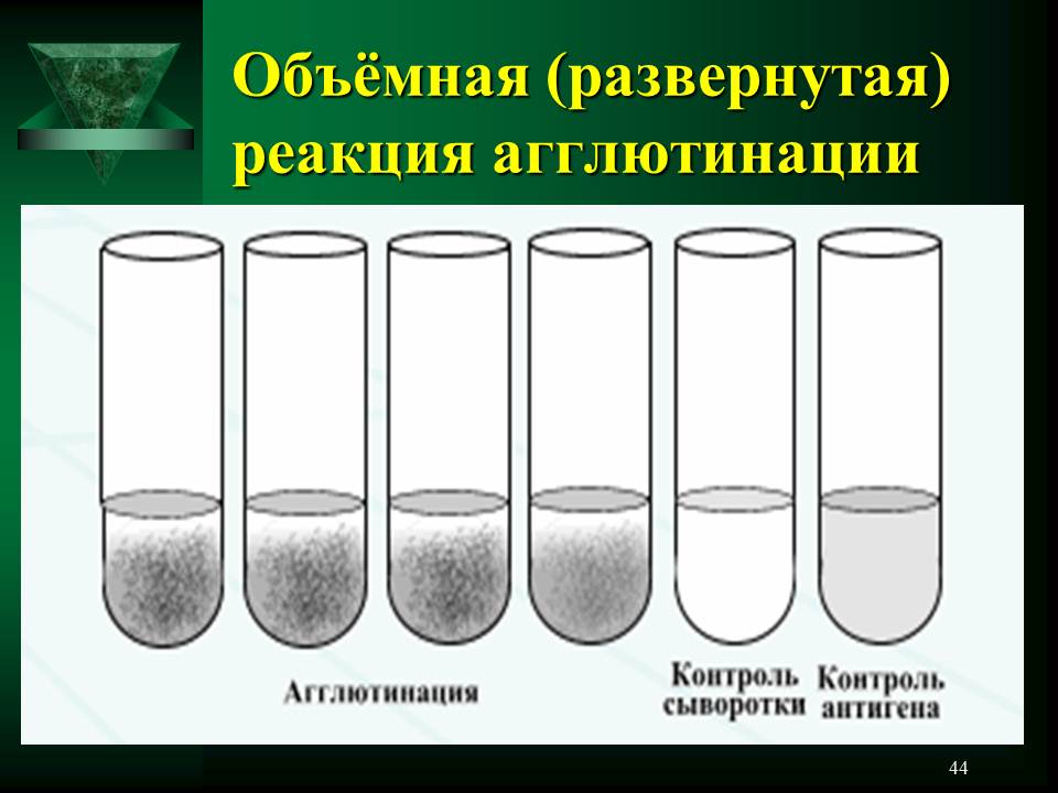 Объемная реакция. Пробирочная реакция агглютинации. Реакция Асколи микробиология. Реакция агглютинации в пробирках схема. Реакция кольцепреципитации по Асколи.