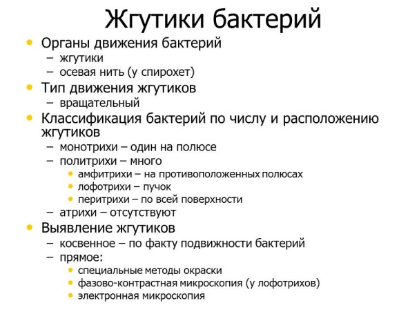 Заключение.