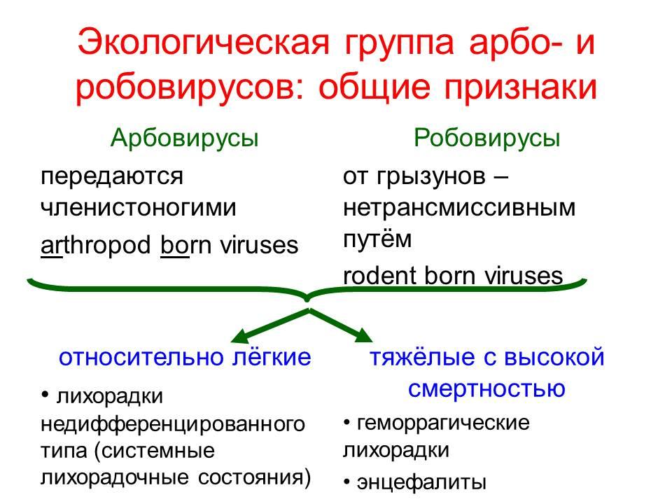 Экология социальных групп. Арбовирусы классификация общая характеристика. Экологические группы вирусов. Арбовирусы специфическая профилактика. Арбовирусы и Рабдовирусы.