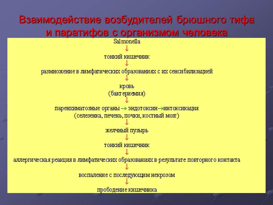 Возбудители брюшного тифа и паратифов Возбудители брюшного тифа и паратифов
