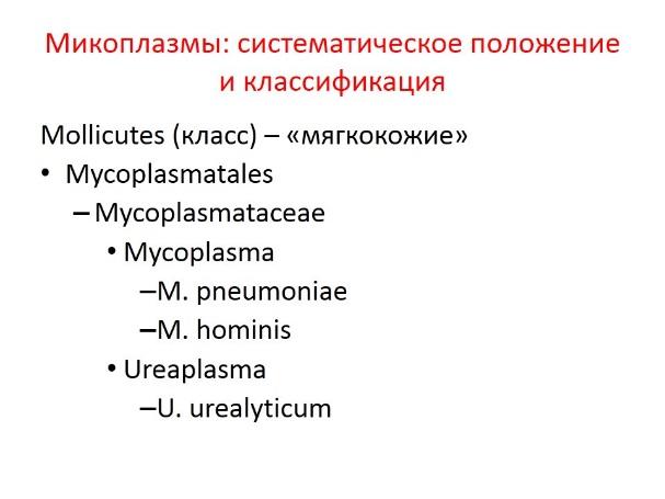 Классификация морфология микоплазм. Таксономия микоплазм. Систематика микоплазм. Определить систематическое положение человека