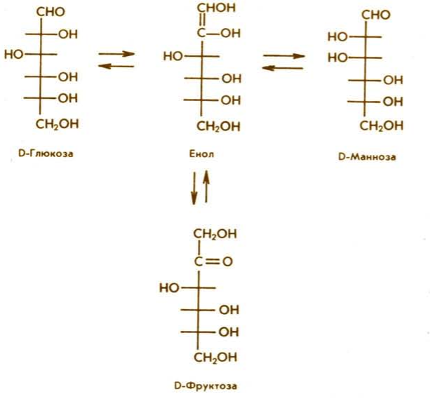Гексоза это. Гликозилирование моносахаридов. Гексозы. Нейраминовая кислота окисление. Гексозы примеры.