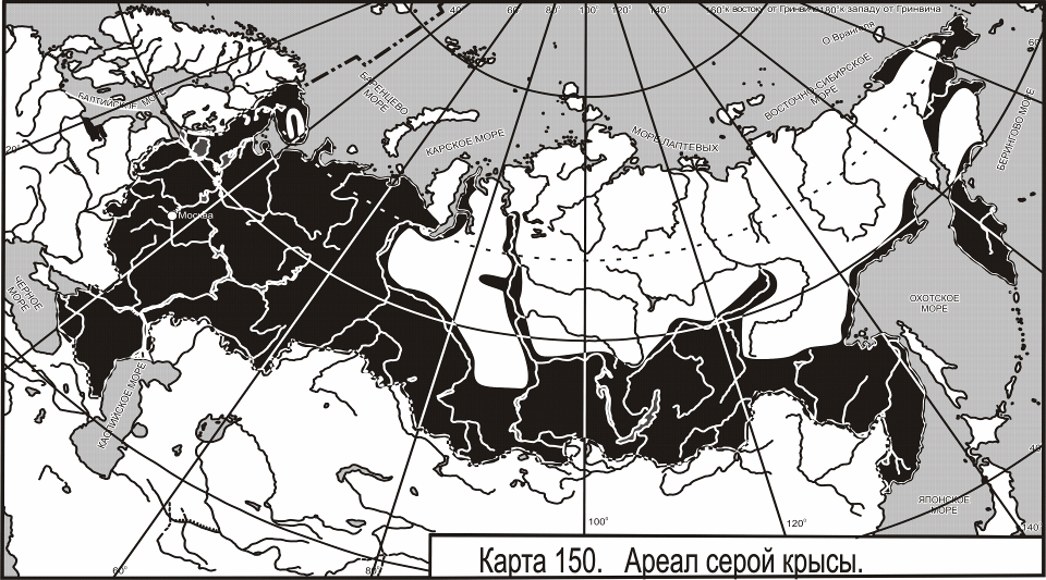 Водяная крыса ареал обитания. Ареал обитания ежей в России на карте. Черная крыса ареал обитания. Хомяк обыкновенный ареал обитания.